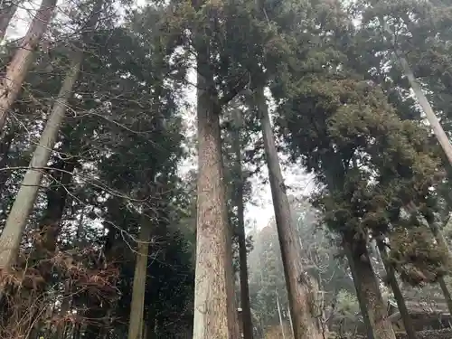 大宮温泉神社(栃木県)