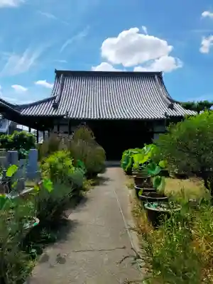真蓮寺(大阪府)