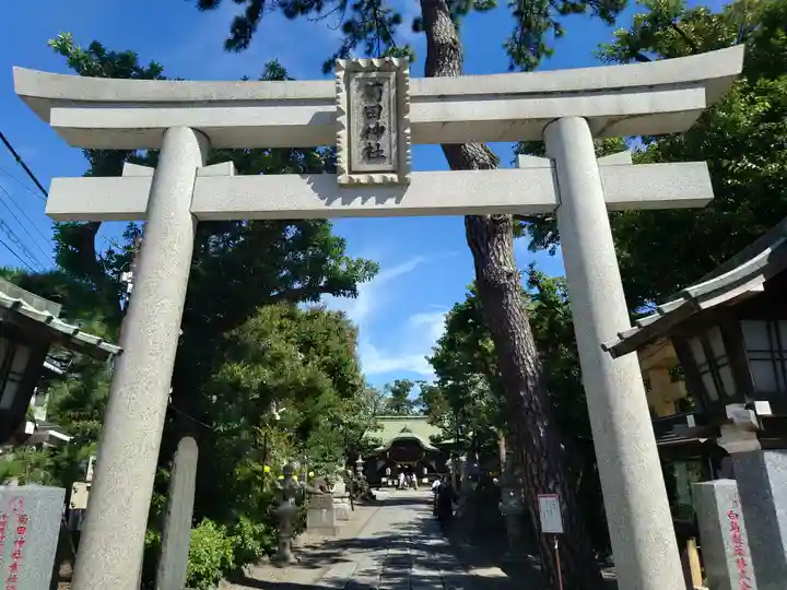 菊田神社(千葉県)