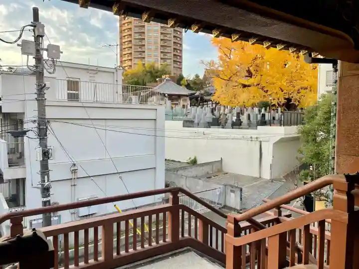 専光寺(東京都)