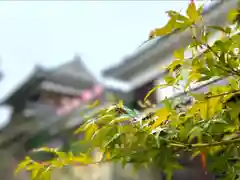 眞田神社(長野県)