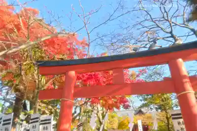 旗上弁財天社の鳥居