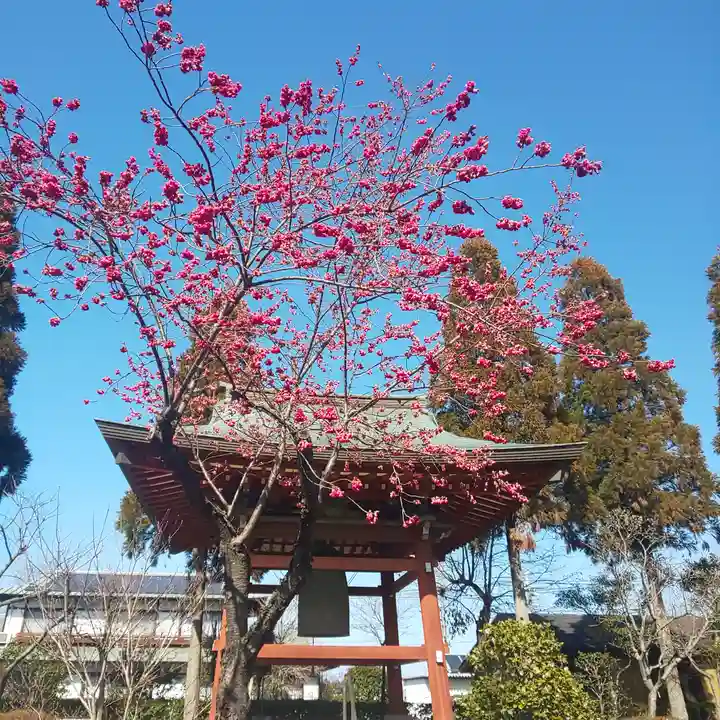 善導寺のその他建物