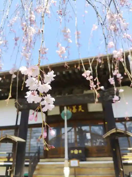 大蔵院(群馬県)