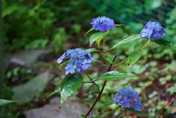 尻岸内八幡神社の景色