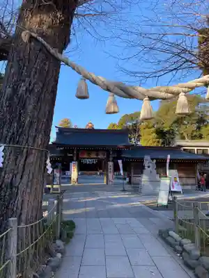 亀ケ池八幡宮の本殿・本堂