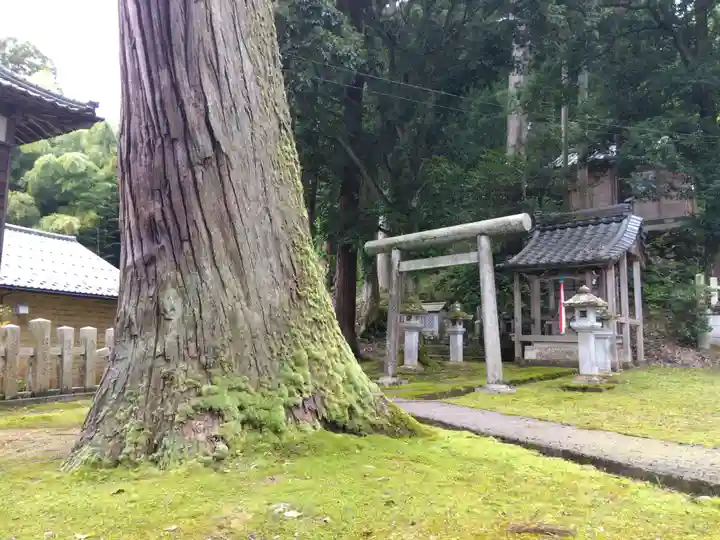 神明神社(福井県)