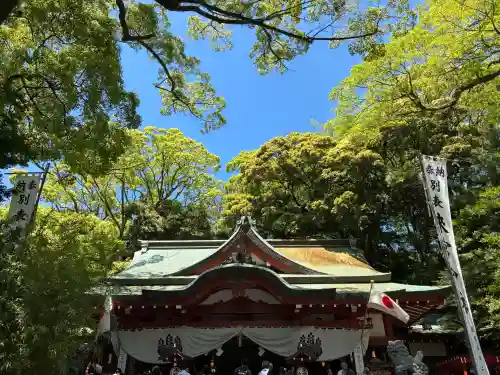 來宮神社の{uncategorized: "未分類", other: "その他", undefined: "問題あり", building: "その他建物", grave: "お墓", sacred_gate: "鳥居", guardian: "狛犬", statue: "像", buddha: "仏像", history: "歴史", nature: "自然", garden: "庭園", animal: "動物", pagoda: "塔", temizu: "手水舎", mountain_gate: "山門・神門", sanctuary: "本殿・本堂", subordinate: "末社・摂社", art: "芸術", scenery: "景色", jizo: "地蔵", ema: "絵馬", goshuin: "御朱印", omikuji: "おみくじ", items: "授与品その他", amulet: "お守り", goshuincho: "御朱印帳", eats: "食事", festival: "お祭り", votive_dance: "神楽", shichigosan: "七五三参", wedding: "結婚式", experience: "体験その他", initially: "初詣", around: "周辺", anti_infection: "感染症対策"}