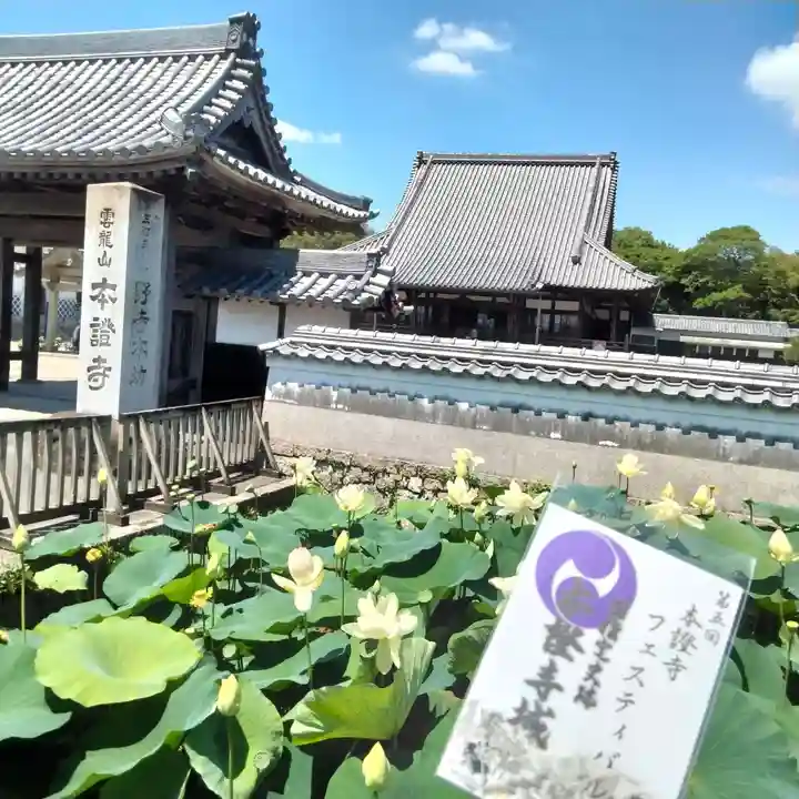 雲龍山 本證寺(愛知県)
