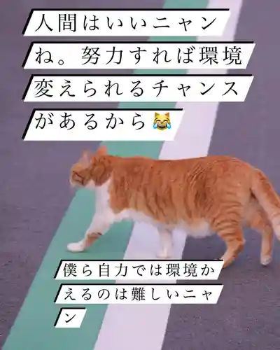 専念寺(大阪府)