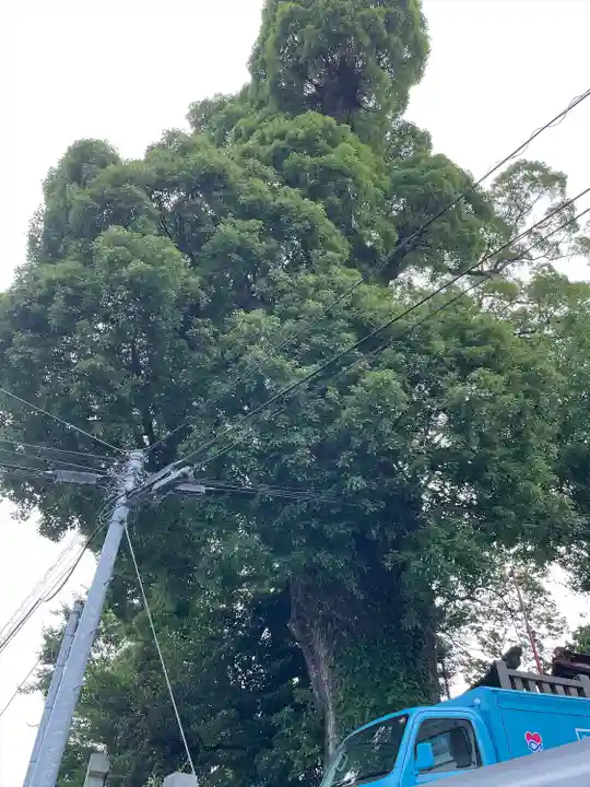 産土八幡神社(神奈川県)