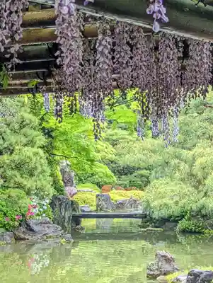 城南宮(京都府)