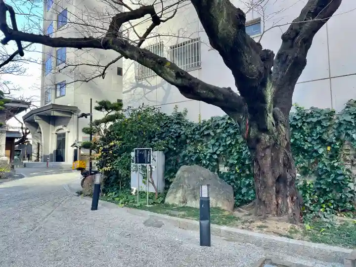 常圓寺の{uncategorized: "未分類", other: "その他", undefined: "問題あり", building: "その他建物", grave: "お墓", sacred_gate: "鳥居", guardian: "狛犬", statue: "像", buddha: "仏像", history: "歴史", nature: "自然", garden: "庭園", animal: "動物", pagoda: "塔", temizu: "手水舎", mountain_gate: "山門・神門", sanctuary: "本殿・本堂", subordinate: "末社・摂社", art: "芸術", scenery: "景色", jizo: "地蔵", ema: "絵馬", goshuin: "御朱印", omikuji: "おみくじ", items: "授与品その他", amulet: "お守り", goshuincho: "御朱印帳", eats: "食事", festival: "お祭り", votive_dance: "神楽", shichigosan: "七五三参", wedding: "結婚式", experience: "体験その他", initially: "初詣", around: "周辺", anti_infection: "感染症対策"}