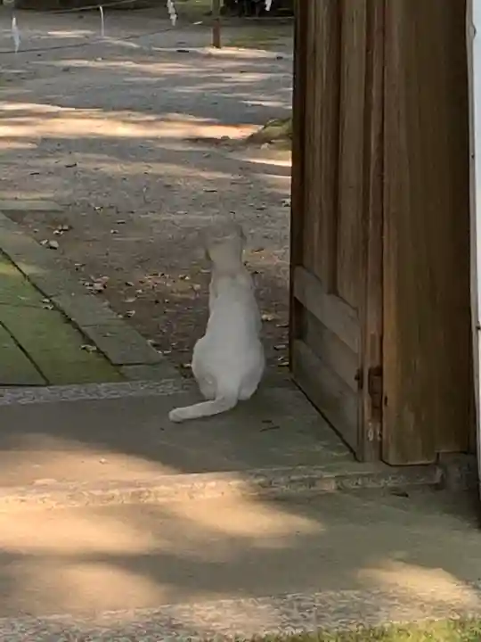 伊佐須美神社の動物