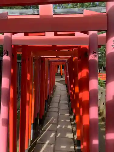 根津神社の鳥居