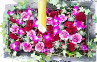 差出磯大嶽山神社 仕事と健康と厄よけの神さまの手水舎