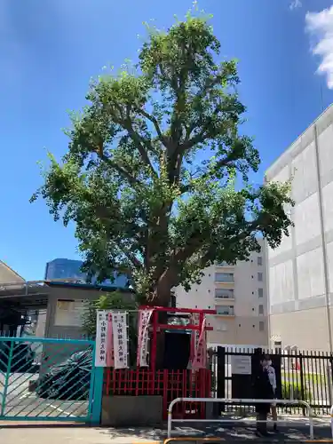 小野稲荷大明神の自然