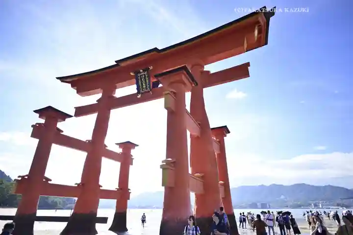 厳島神社(広島県)