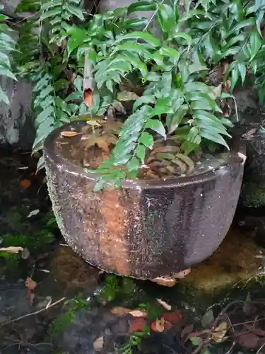 奥澤神社の庭園