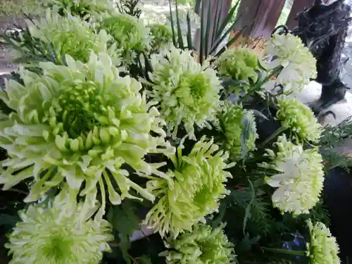 彌彦神社　(伊夜日子神社)の手水舎