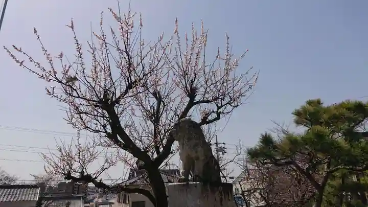 岡崎天満宮の自然