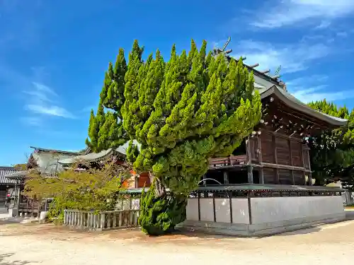 御厨神社の本殿・本堂