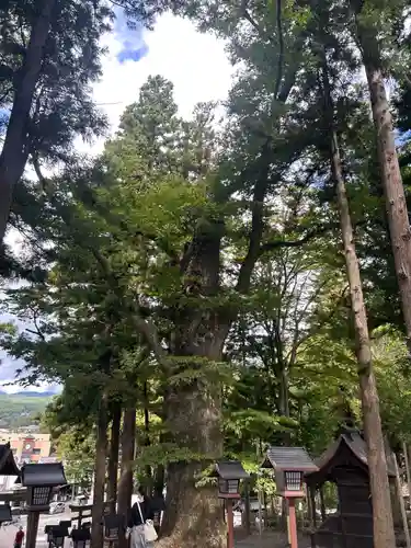 諏訪大社下社秋宮(長野県)