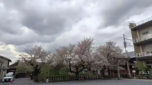 六孫王神社(京都府)
