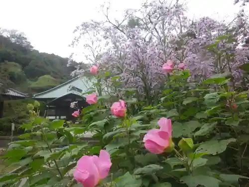 海蔵寺の庭園