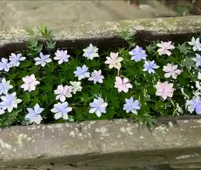 田間神社(千葉県)