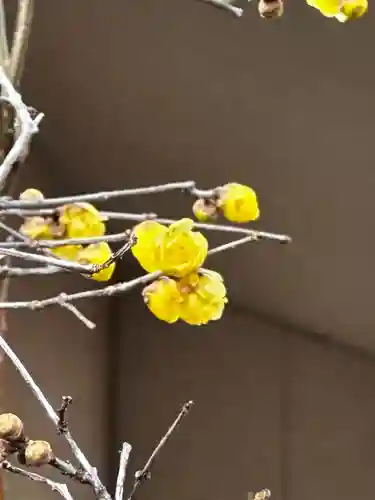 水堂須佐男神社(兵庫県)