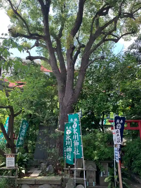 江北氷川神社の自然