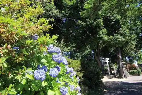 熊野福藏神社の庭園