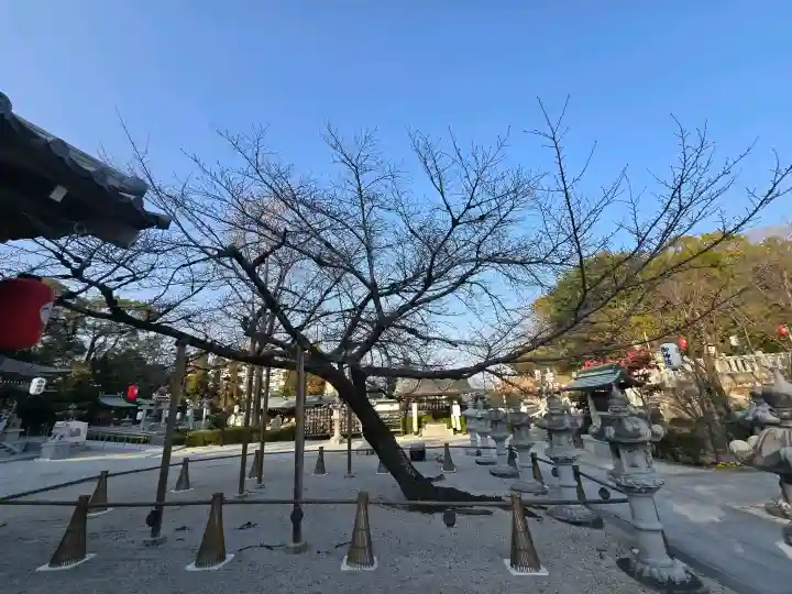 伊和志津神社の{uncategorized: "未分類", other: "その他", undefined: "問題あり", building: "その他建物", grave: "お墓", sacred_gate: "鳥居", guardian: "狛犬", statue: "像", buddha: "仏像", history: "歴史", nature: "自然", garden: "庭園", animal: "動物", pagoda: "塔", temizu: "手水舎", mountain_gate: "山門・神門", sanctuary: "本殿・本堂", subordinate: "末社・摂社", art: "芸術", scenery: "景色", jizo: "地蔵", ema: "絵馬", goshuin: "御朱印", omikuji: "おみくじ", items: "授与品その他", amulet: "お守り", goshuincho: "御朱印帳", eats: "食事", festival: "お祭り", votive_dance: "神楽", shichigosan: "七五三参", wedding: "結婚式", experience: "体験その他", initially: "初詣", around: "周辺", anti_infection: "感染症対策"}