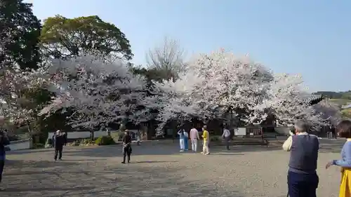 道成寺の自然