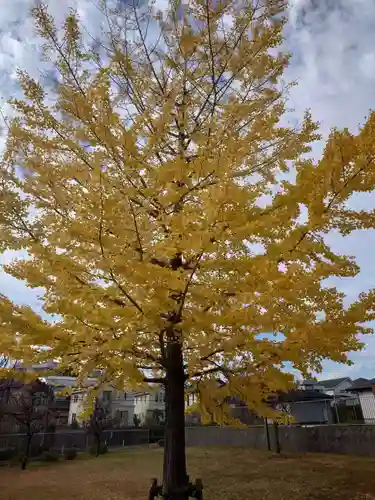 栗木御嶽神社(神奈川県)