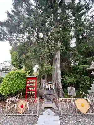 矢奈比賣神社（見付天神）(静岡県)
