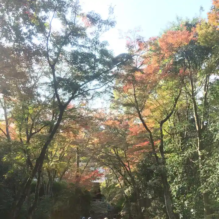 浄住寺(京都府)