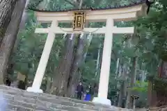 飛瀧神社（熊野那智大社別宮）の鳥居