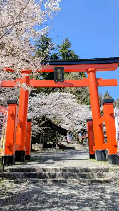 金櫻神社の{uncategorized: "未分類", other: "その他", undefined: "問題あり", building: "その他建物", grave: "お墓", sacred_gate: "鳥居", guardian: "狛犬", statue: "像", buddha: "仏像", history: "歴史", nature: "自然", garden: "庭園", animal: "動物", pagoda: "塔", temizu: "手水舎", mountain_gate: "山門・神門", sanctuary: "本殿・本堂", subordinate: "末社・摂社", art: "芸術", scenery: "景色", jizo: "地蔵", ema: "絵馬", goshuin: "御朱印", omikuji: "おみくじ", items: "授与品その他", amulet: "お守り", goshuincho: "御朱印帳", eats: "食事", festival: "お祭り", votive_dance: "神楽", shichigosan: "七五三参", wedding: "結婚式", experience: "体験その他", initially: "初詣", around: "周辺", anti_infection: "感染症対策"}
