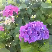 七重浜海津見神社(北海道)