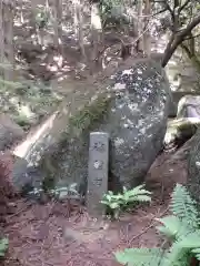 名草厳島神社の自然