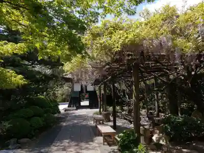 龍潭寺のその他建物