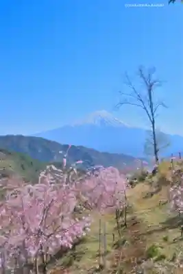 富士山遙拝所（天空の鳥居）(山梨県)