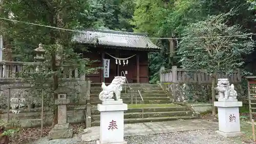 天照皇大神社の狛犬