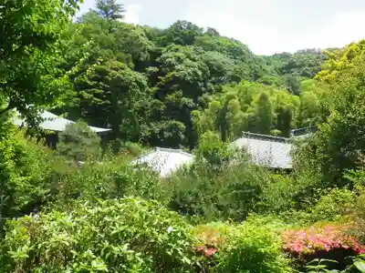 瑞泉寺のその他建物