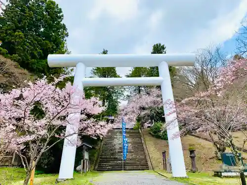 土津神社｜こどもと出世の神さまの鳥居