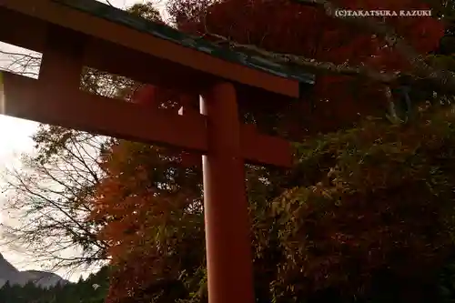 武蔵御嶽神社の鳥居