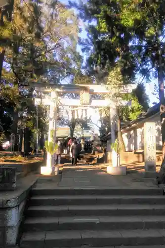 豊玉氷川神社の初詣