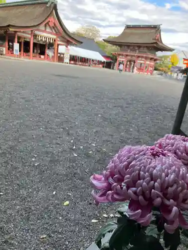 津島神社のその他建物